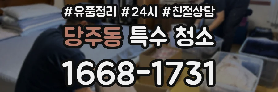 당주동 특수 청소