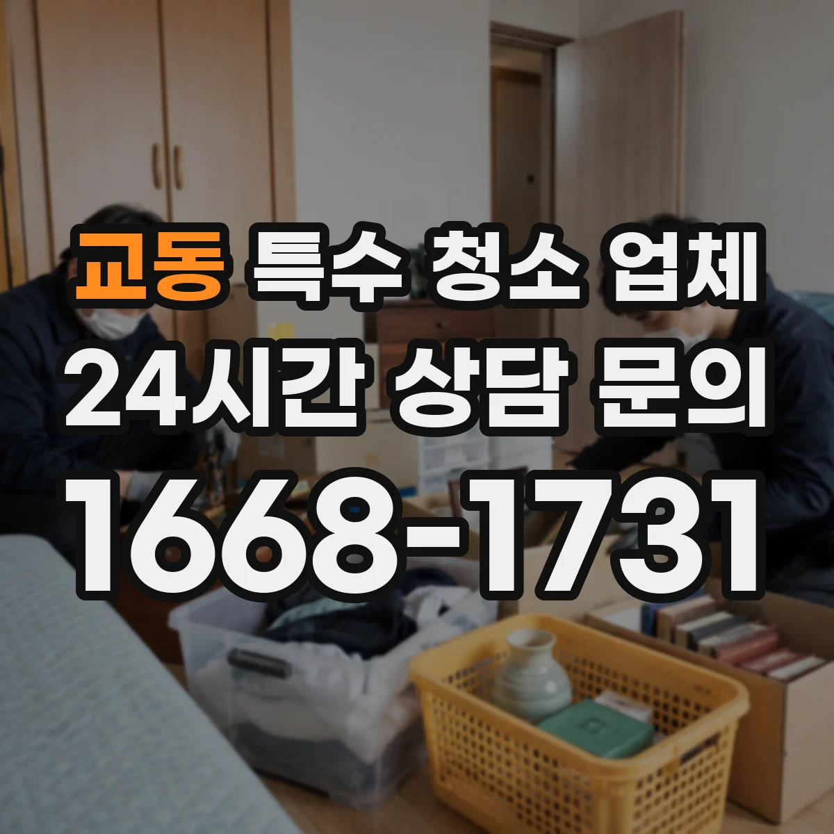 교동 특수 청소 업체