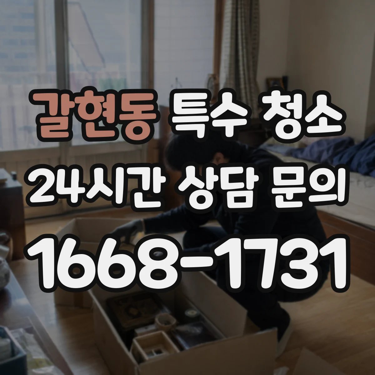 갈현동 특수 청소