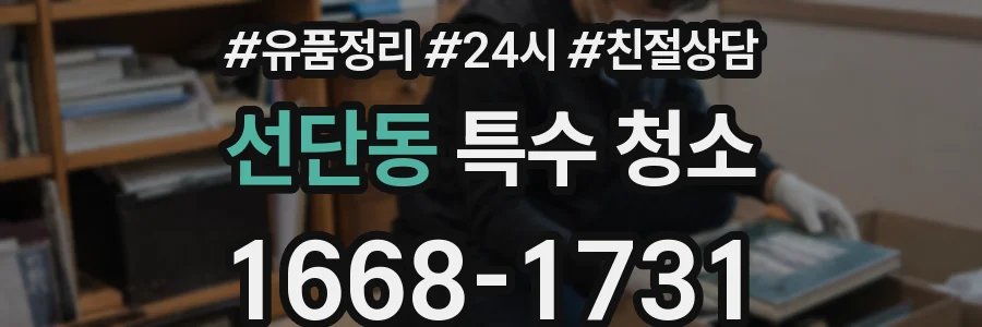선단동 특수 청소