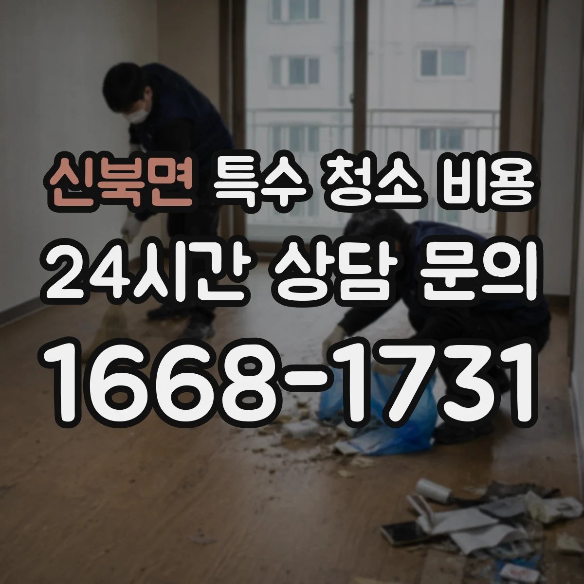 신북면 특수 청소 비용