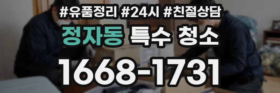 정자동 특수 청소