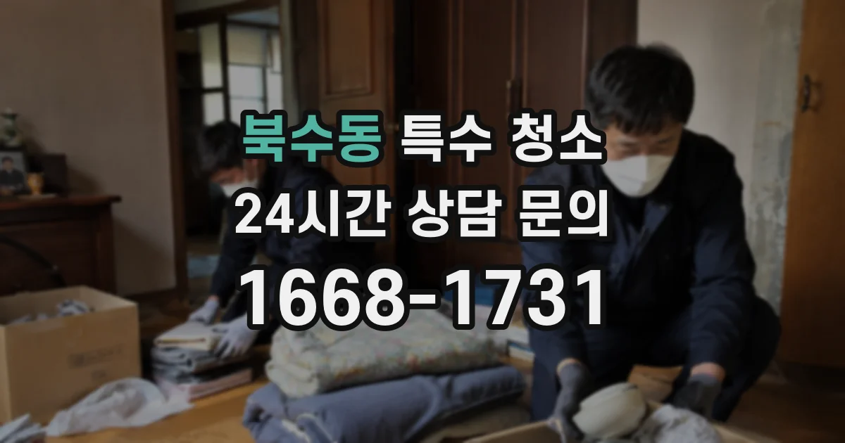 북수동 특수 청소
