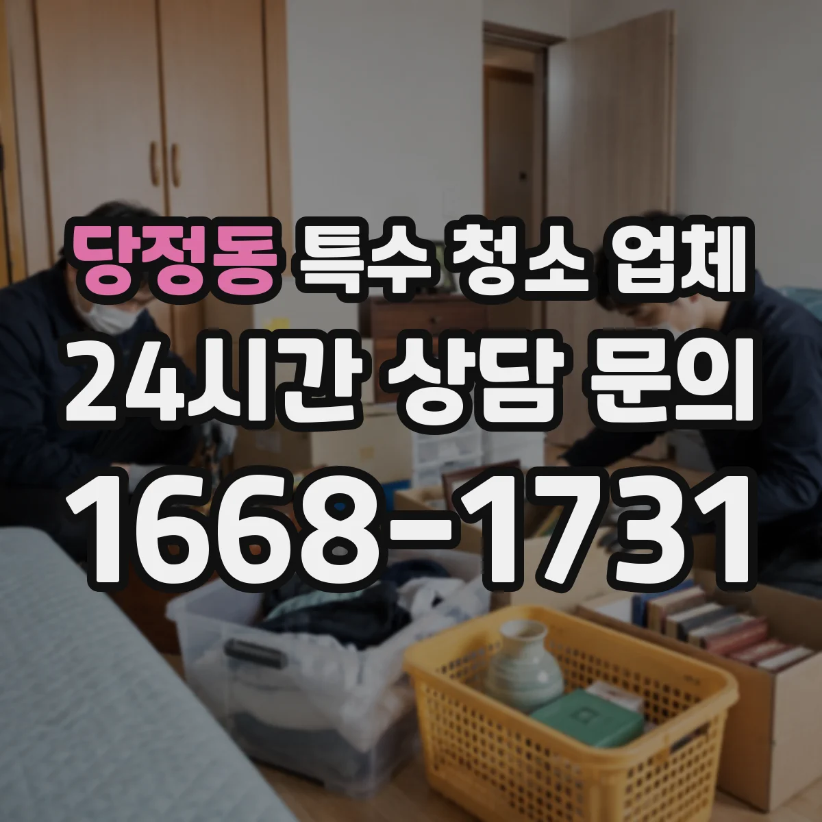 당정동 특수 청소 업체