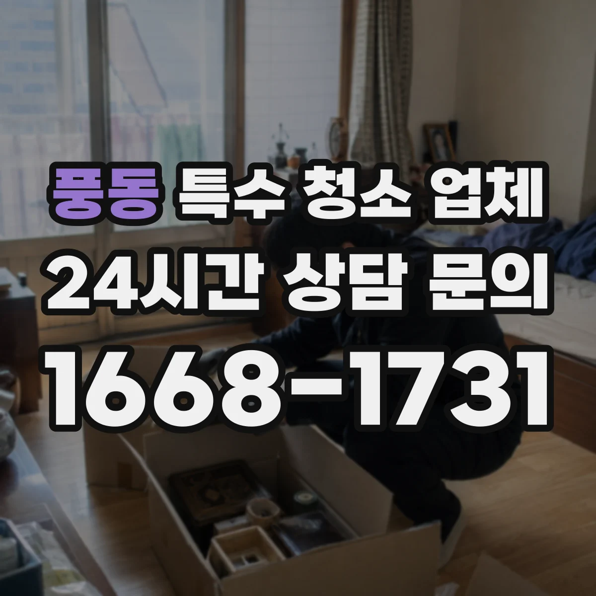 풍동 특수 청소 업체