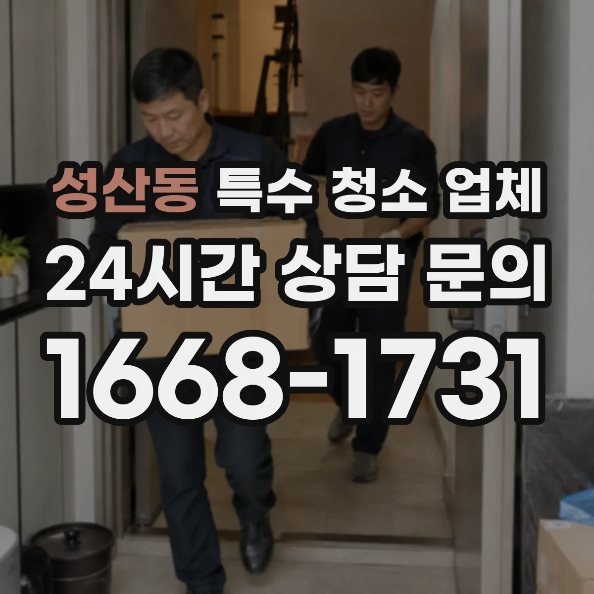 성산동 특수 청소 업체