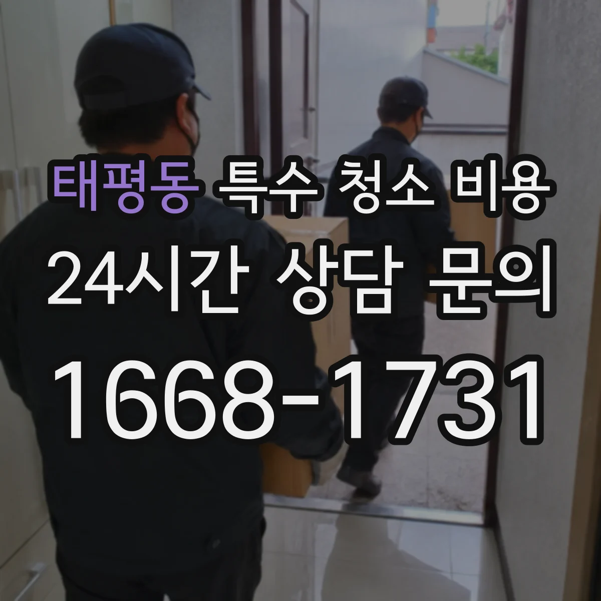 태평동 특수 청소 비용