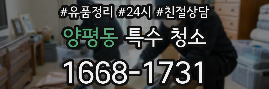 양평동 특수 청소