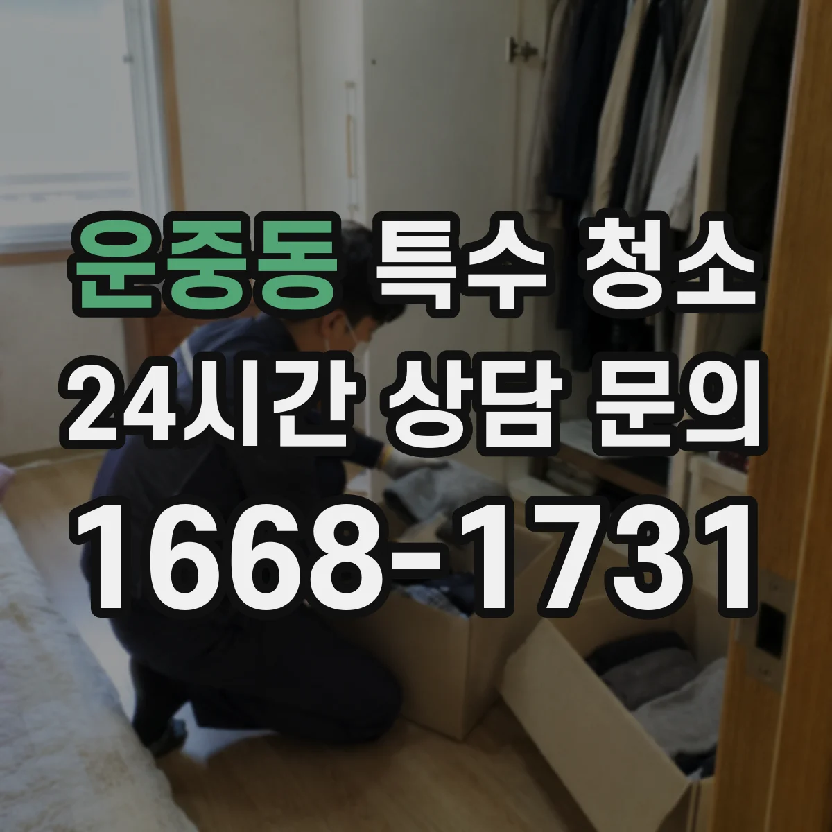 운중동 특수 청소