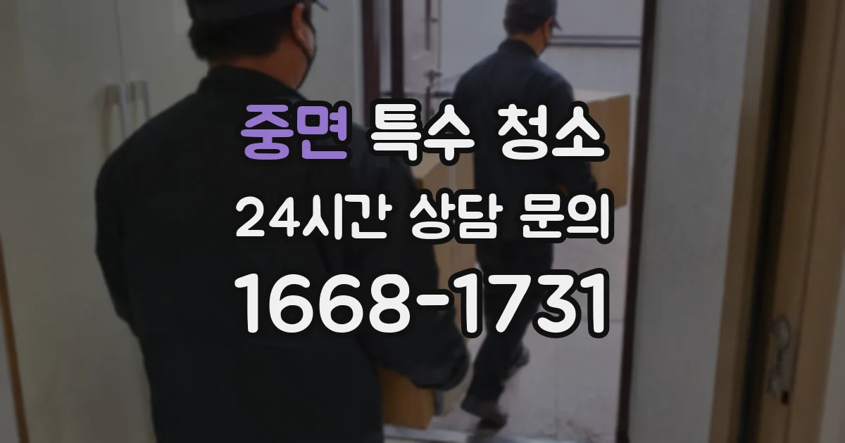 중면 특수 청소