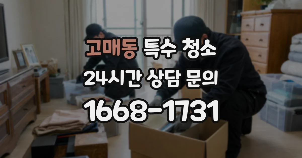 고매동 특수 청소