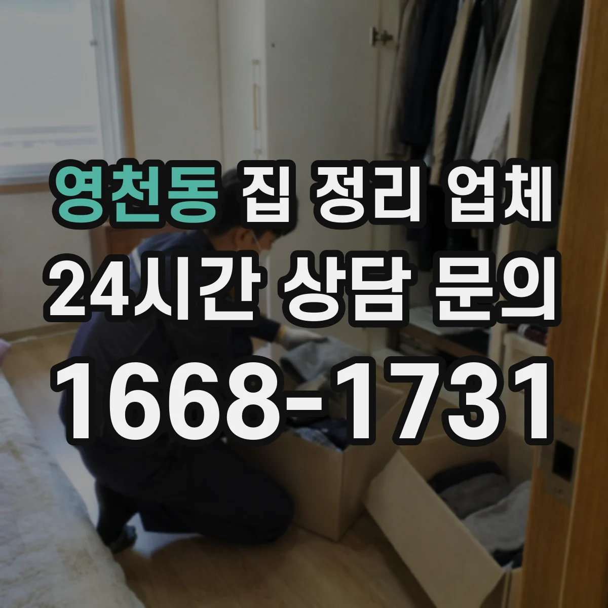 영천동 집 정리 업체