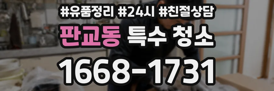 판교동 특수 청소