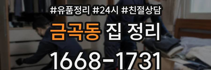 금곡동 집 정리