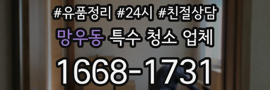 망우동 특수 청소 업체