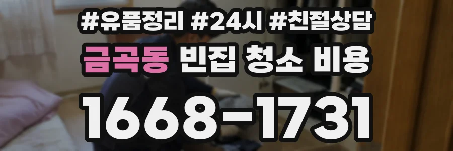 금곡동 빈집 청소 비용