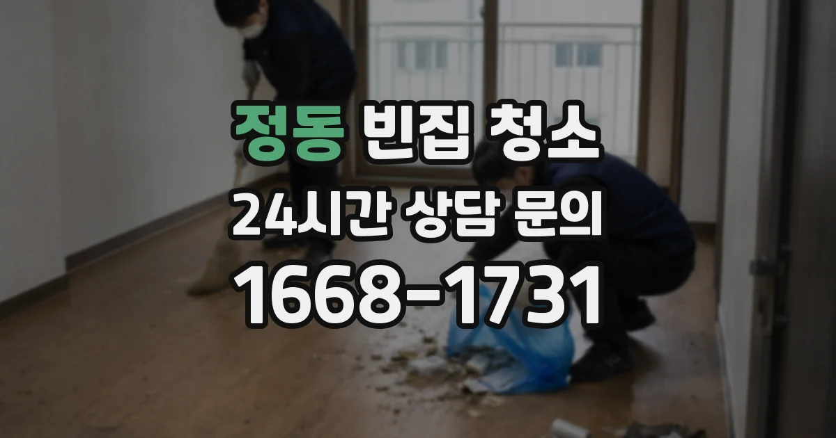 정동 빈집 청소