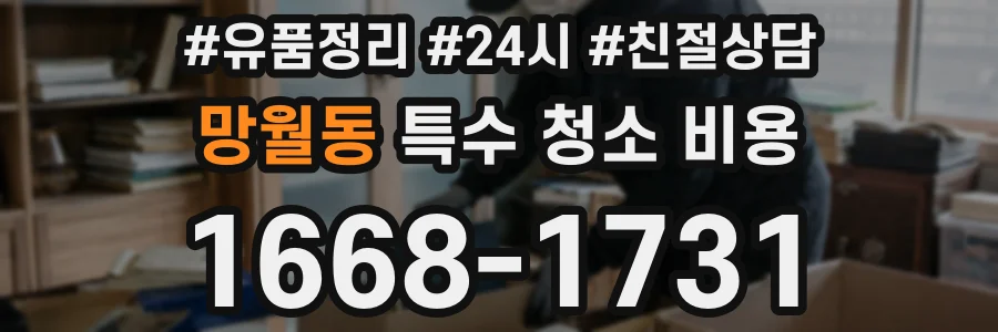 망월동 특수 청소 비용