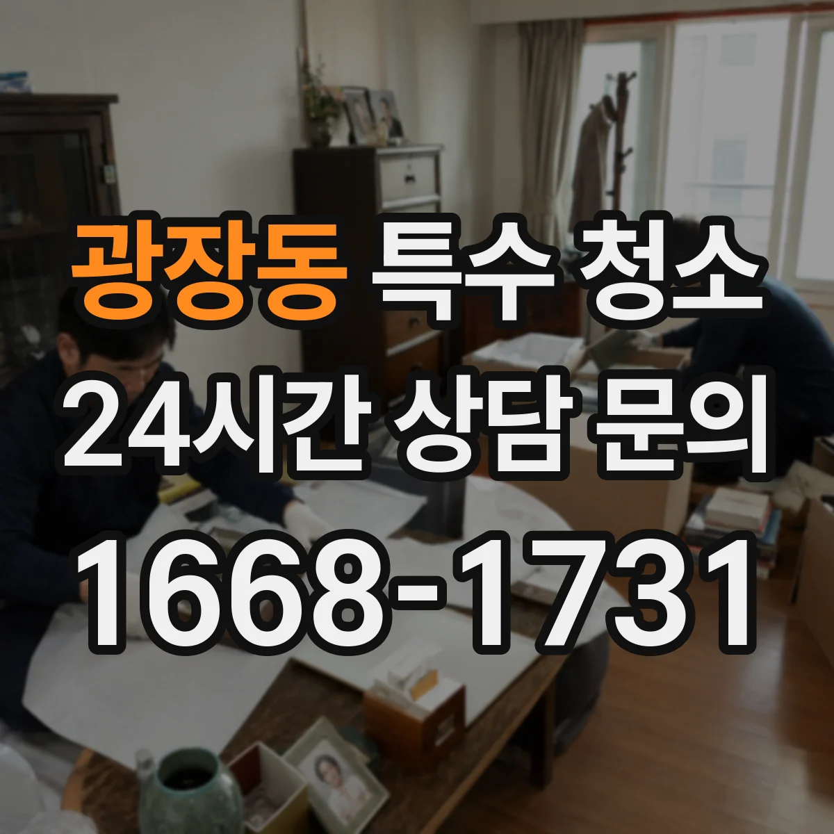 광장동 특수 청소