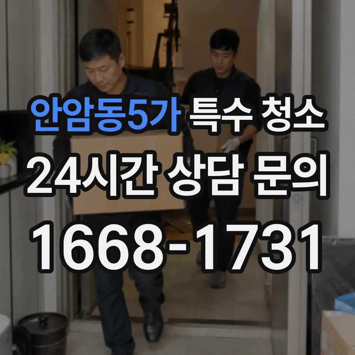 안암동5가 특수 청소