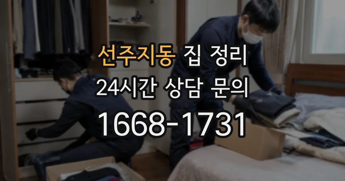선주지동 집 정리