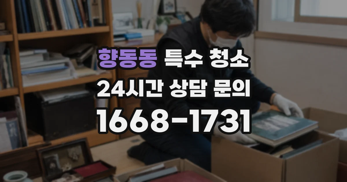 향동동 특수 청소