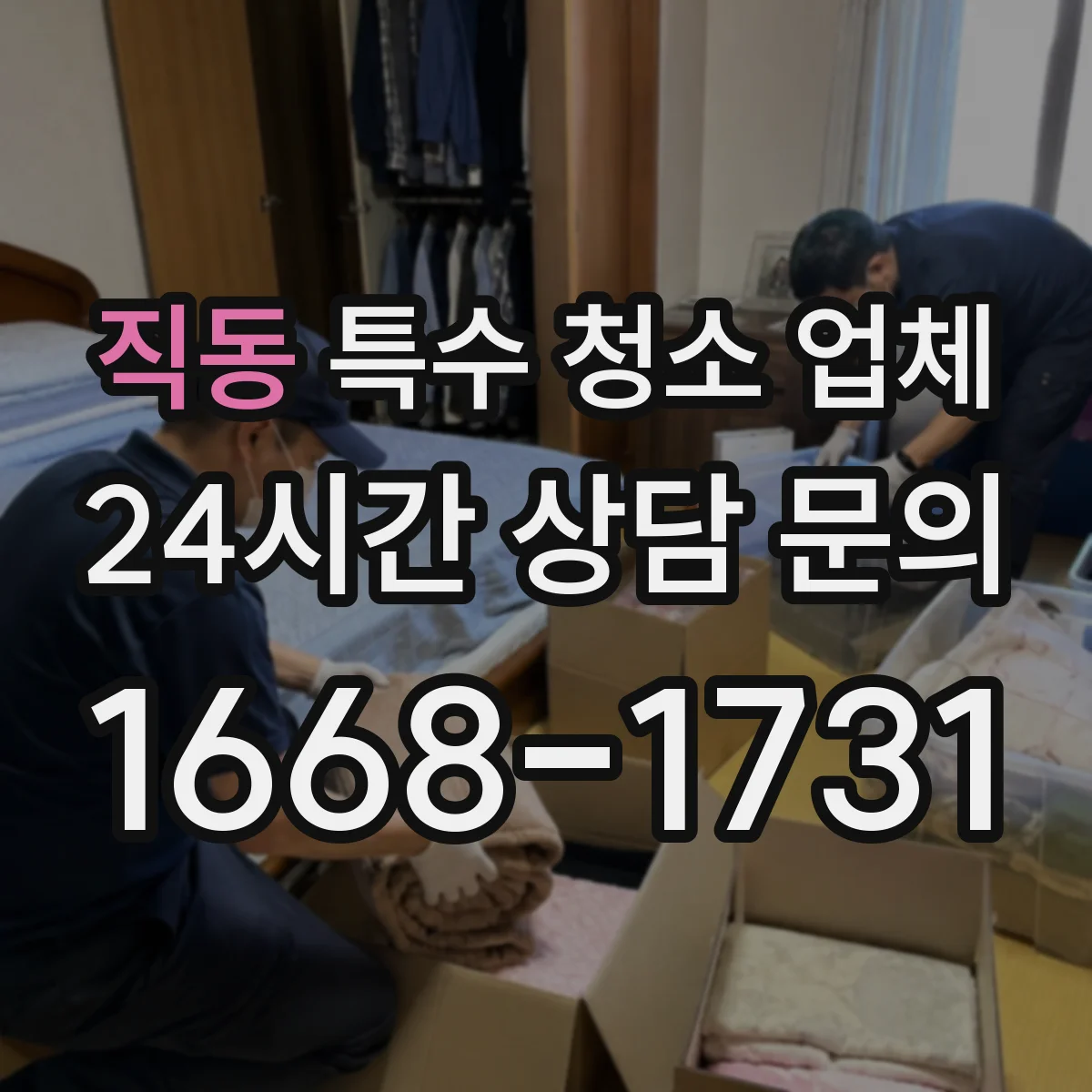 직동 특수 청소 업체