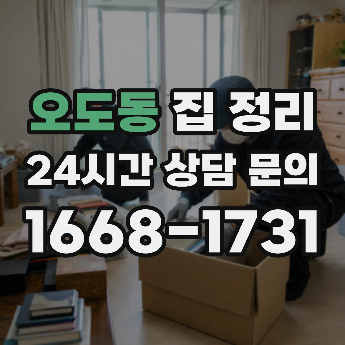 오도동 집 정리