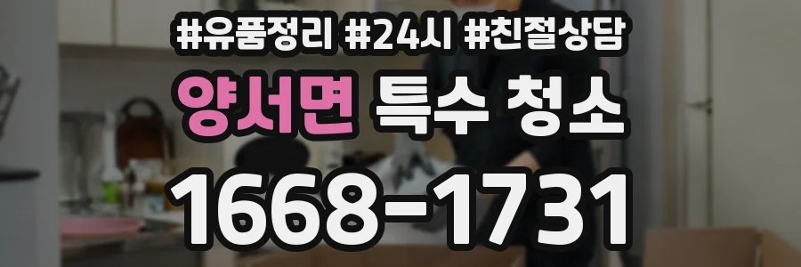 양서면 특수 청소