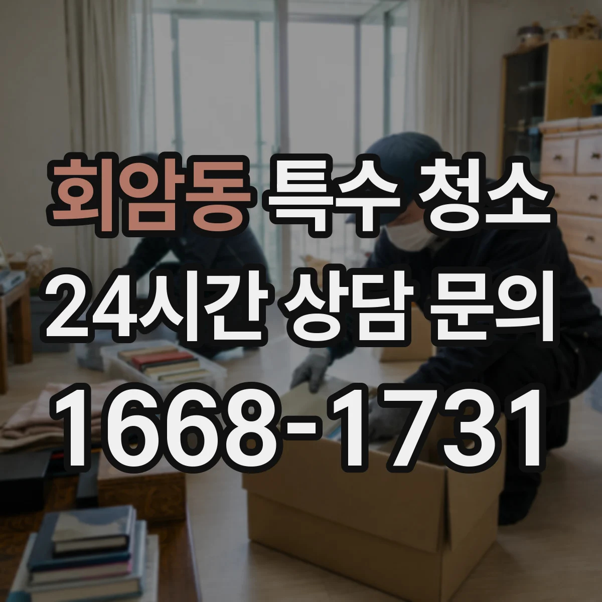 회암동 특수 청소