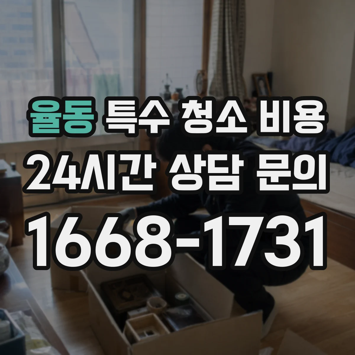 율동 특수 청소 비용