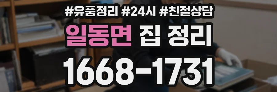 일동면 집 정리