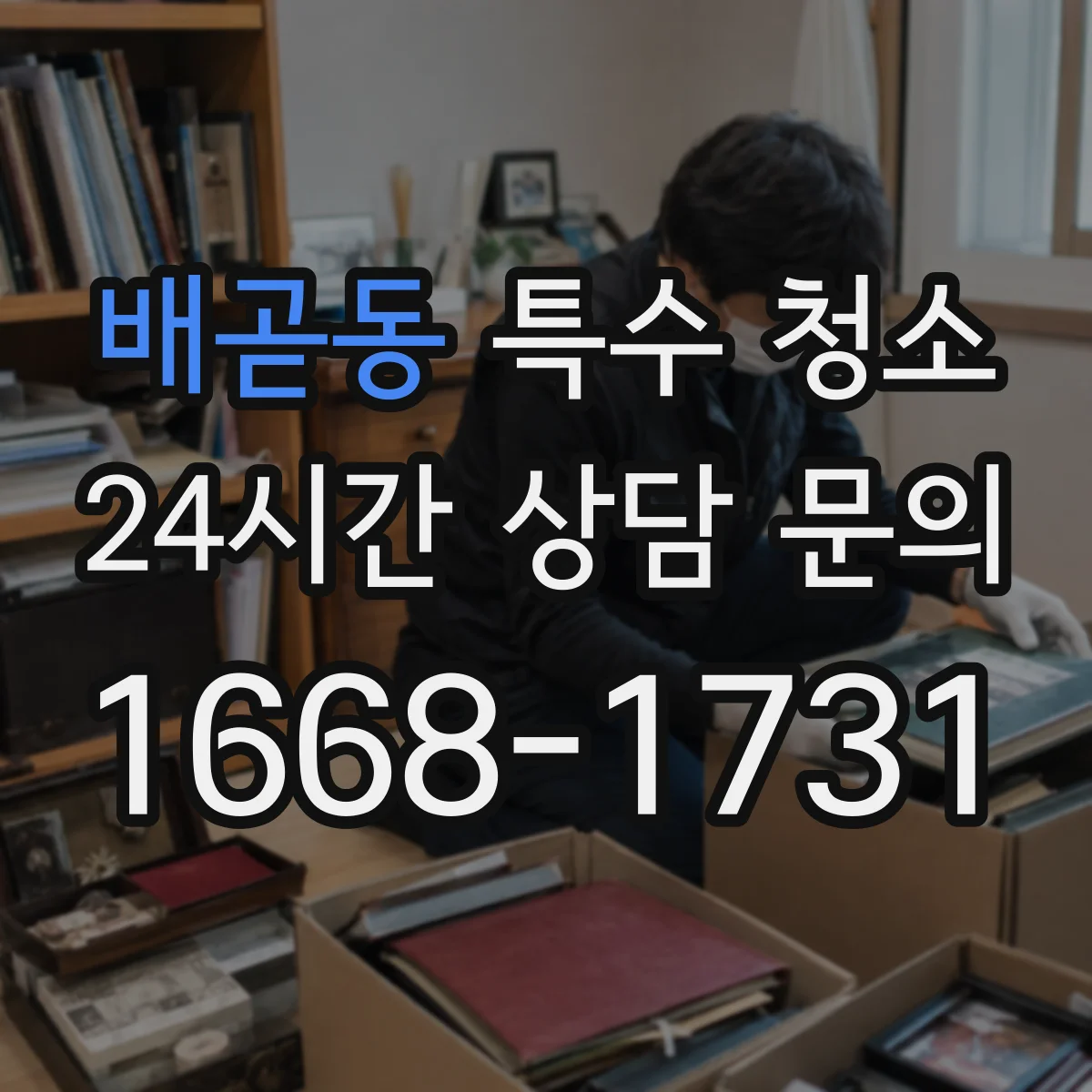 배곧동 특수 청소