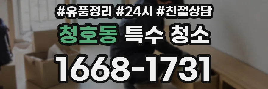 청호동 특수 청소