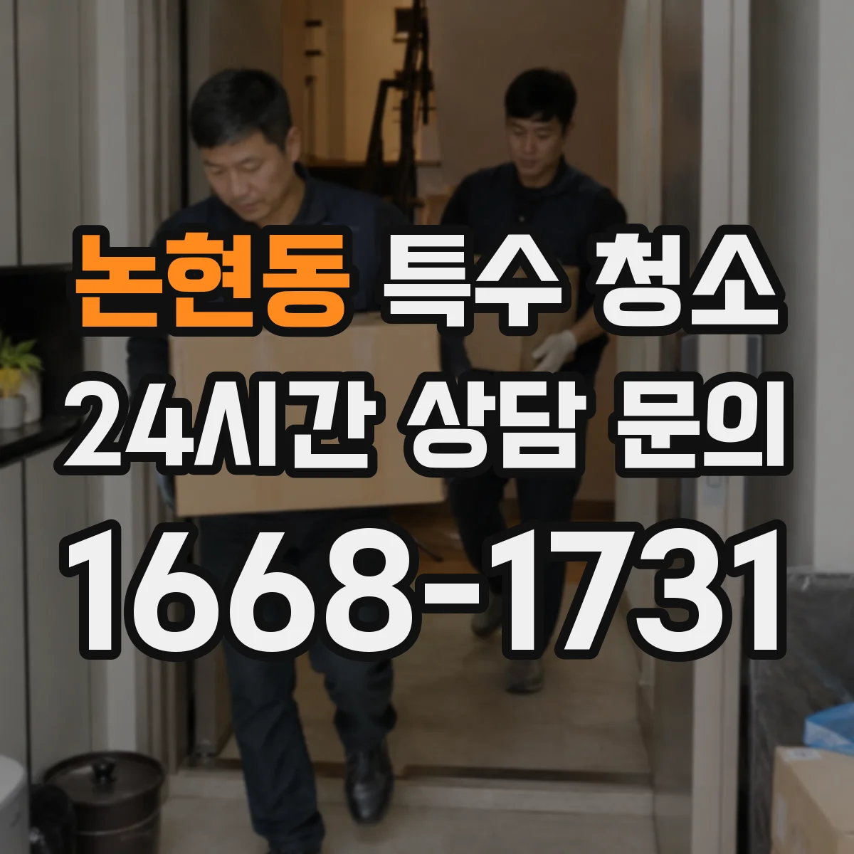 논현동 특수 청소