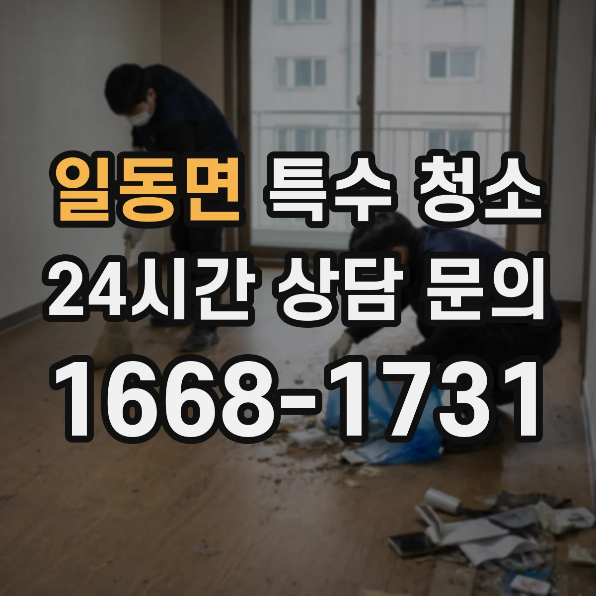 일동면 특수 청소