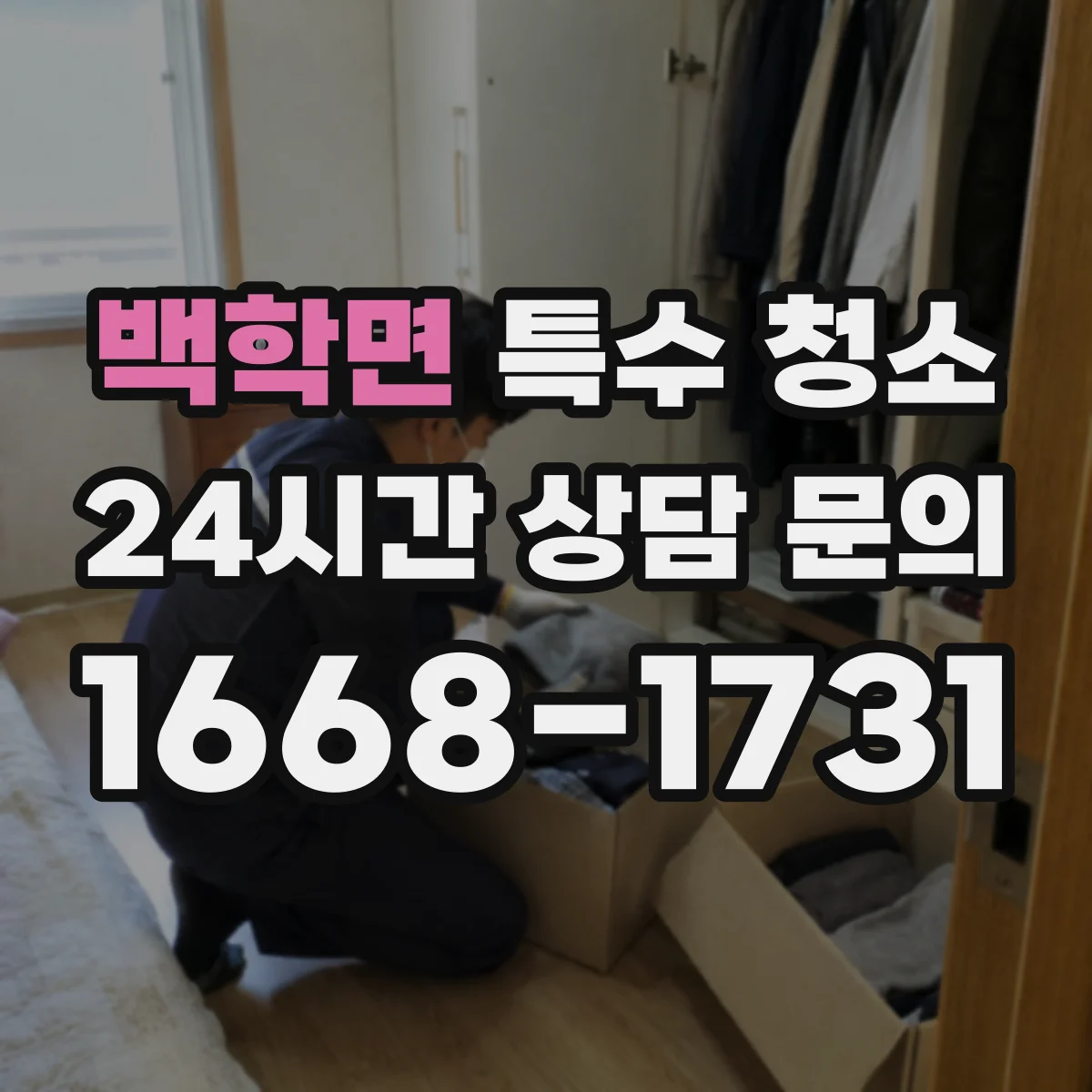 백학면 특수 청소