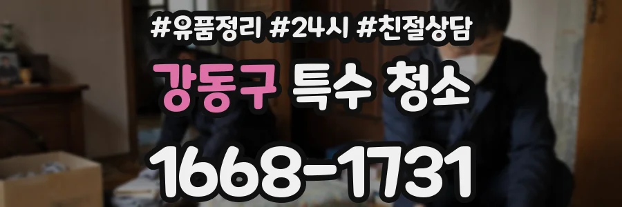 강동구 특수 청소
