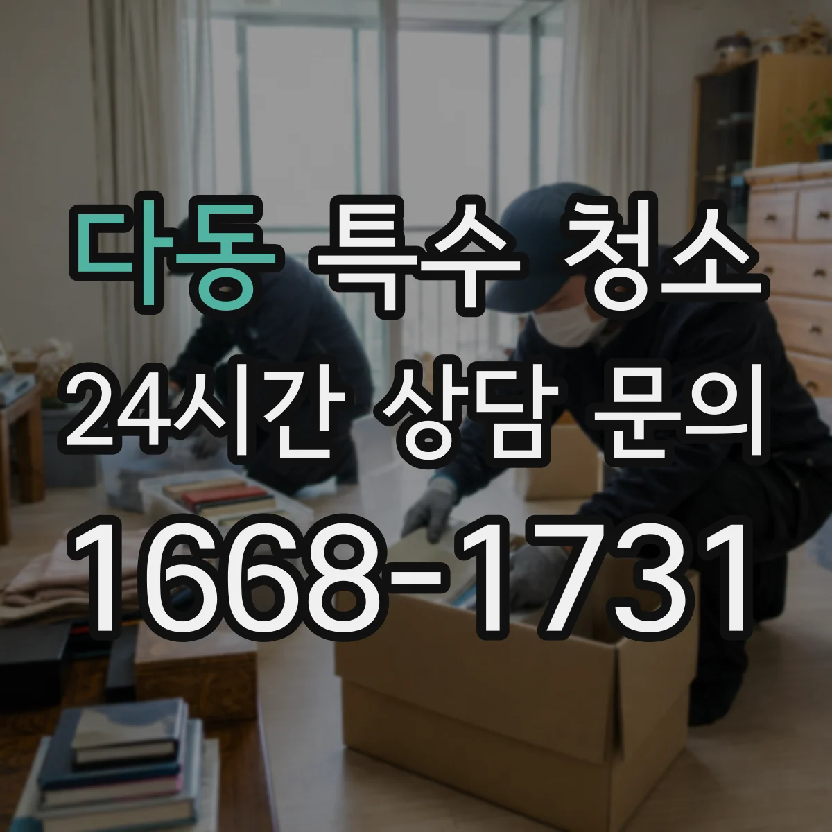 다동 특수 청소