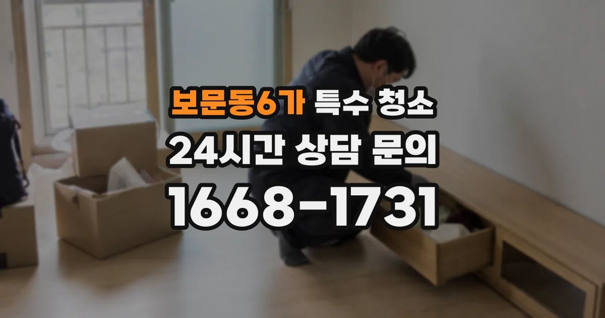 보문동6가 특수 청소