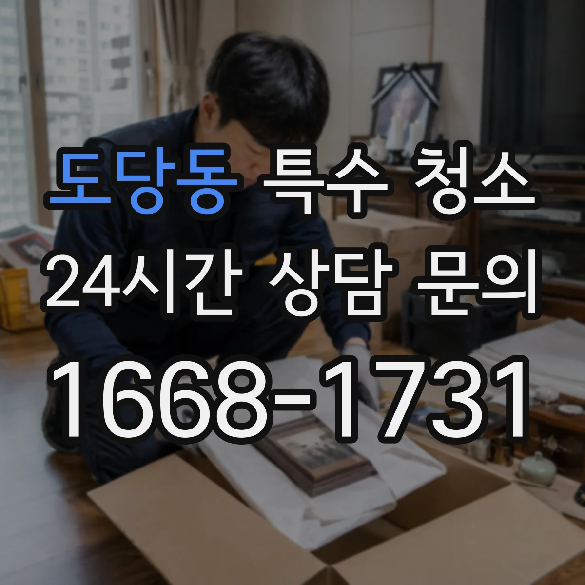 도당동 특수 청소
