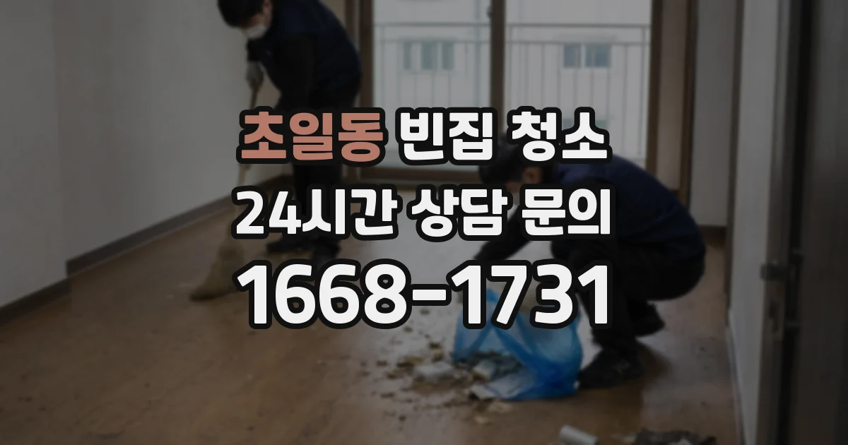 초일동 빈집 청소