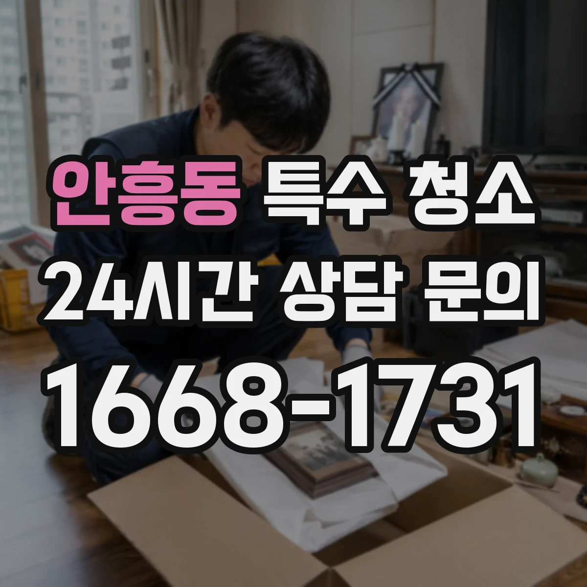 안흥동 특수 청소