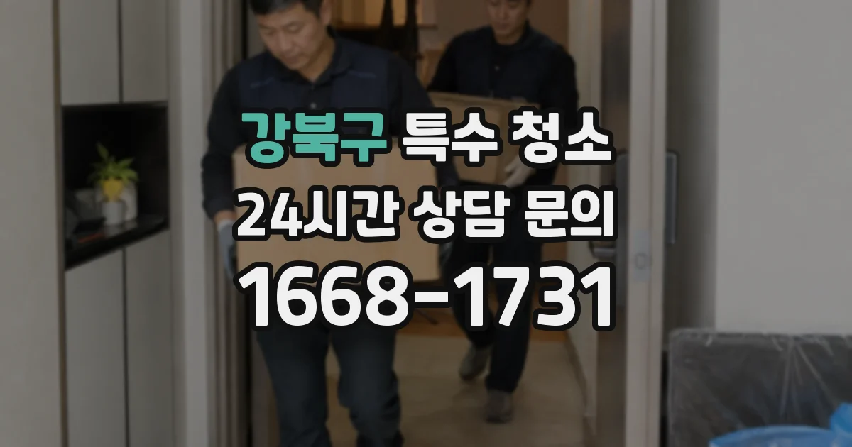 강북구 특수 청소