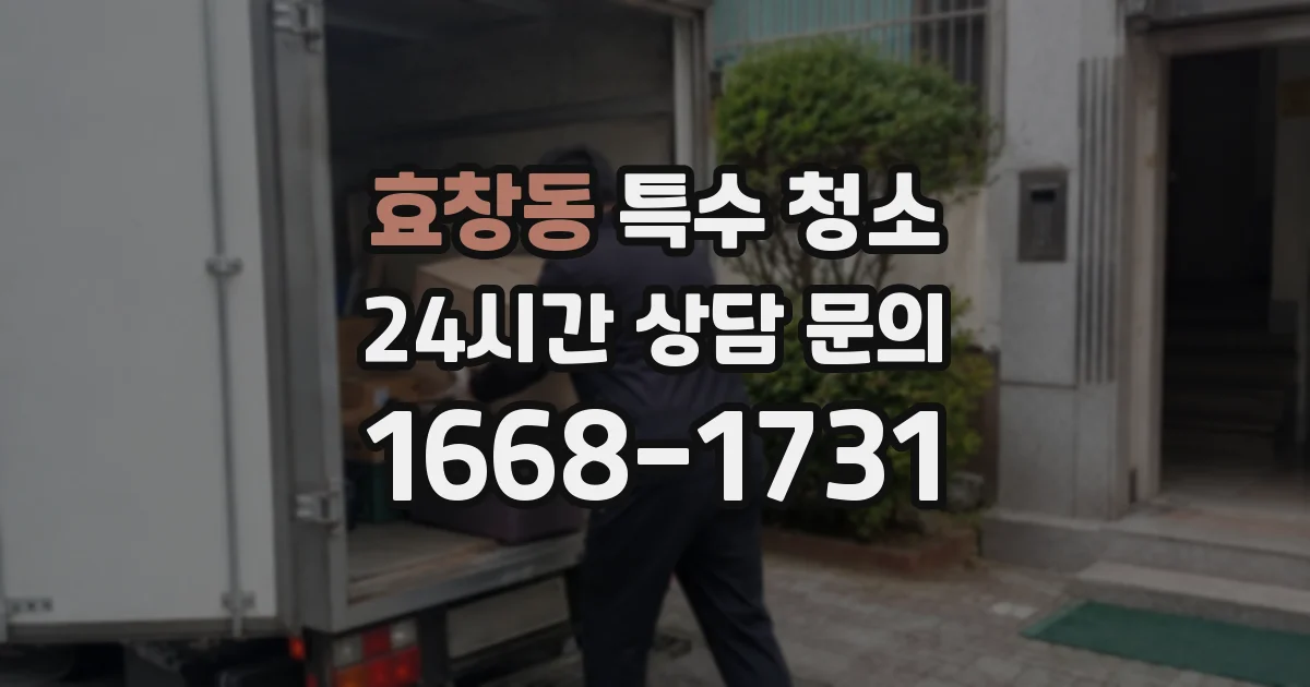 효창동 특수 청소