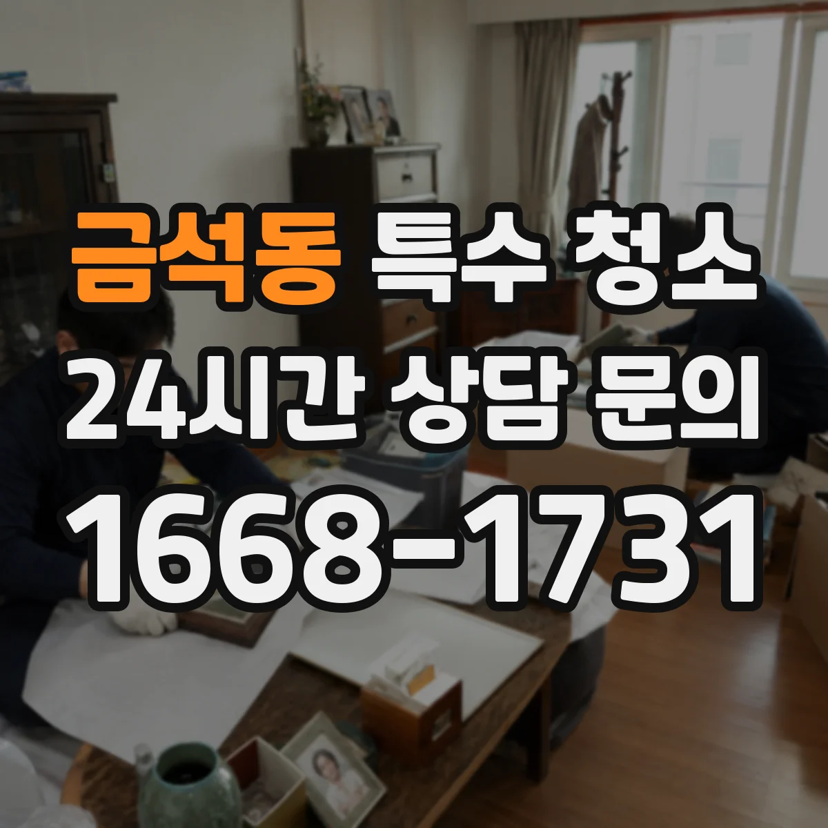 금석동 특수 청소
