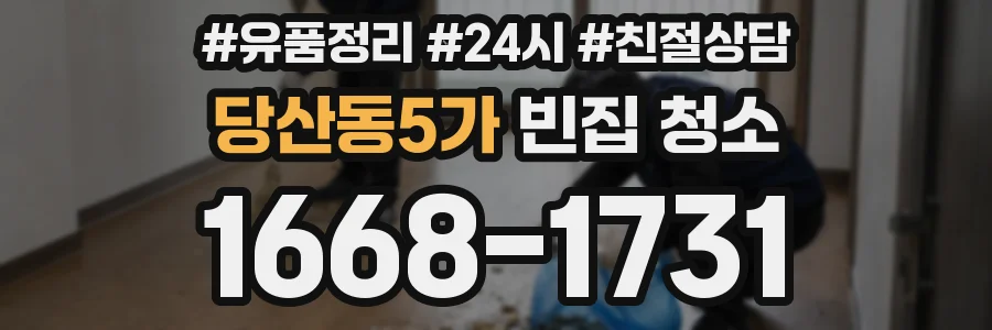 당산동5가 빈집 청소