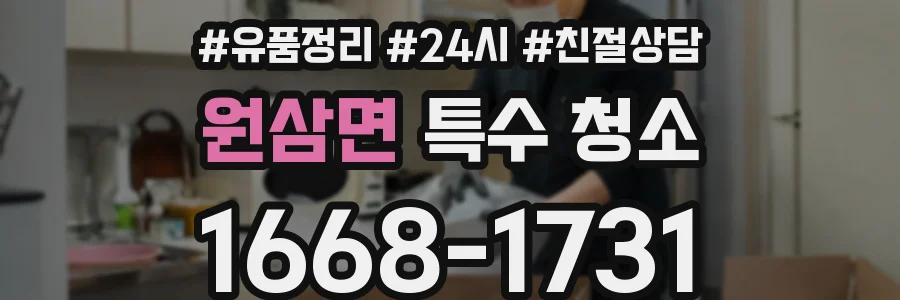 원삼면 특수 청소