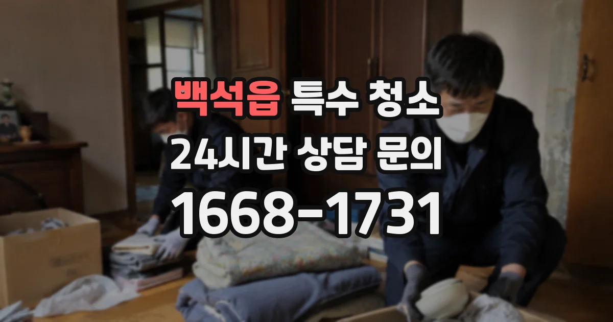 백석읍 특수 청소