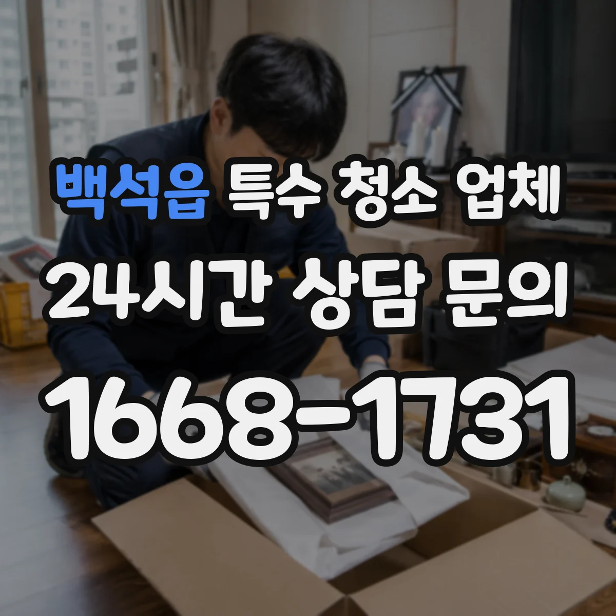 백석읍 특수 청소 업체